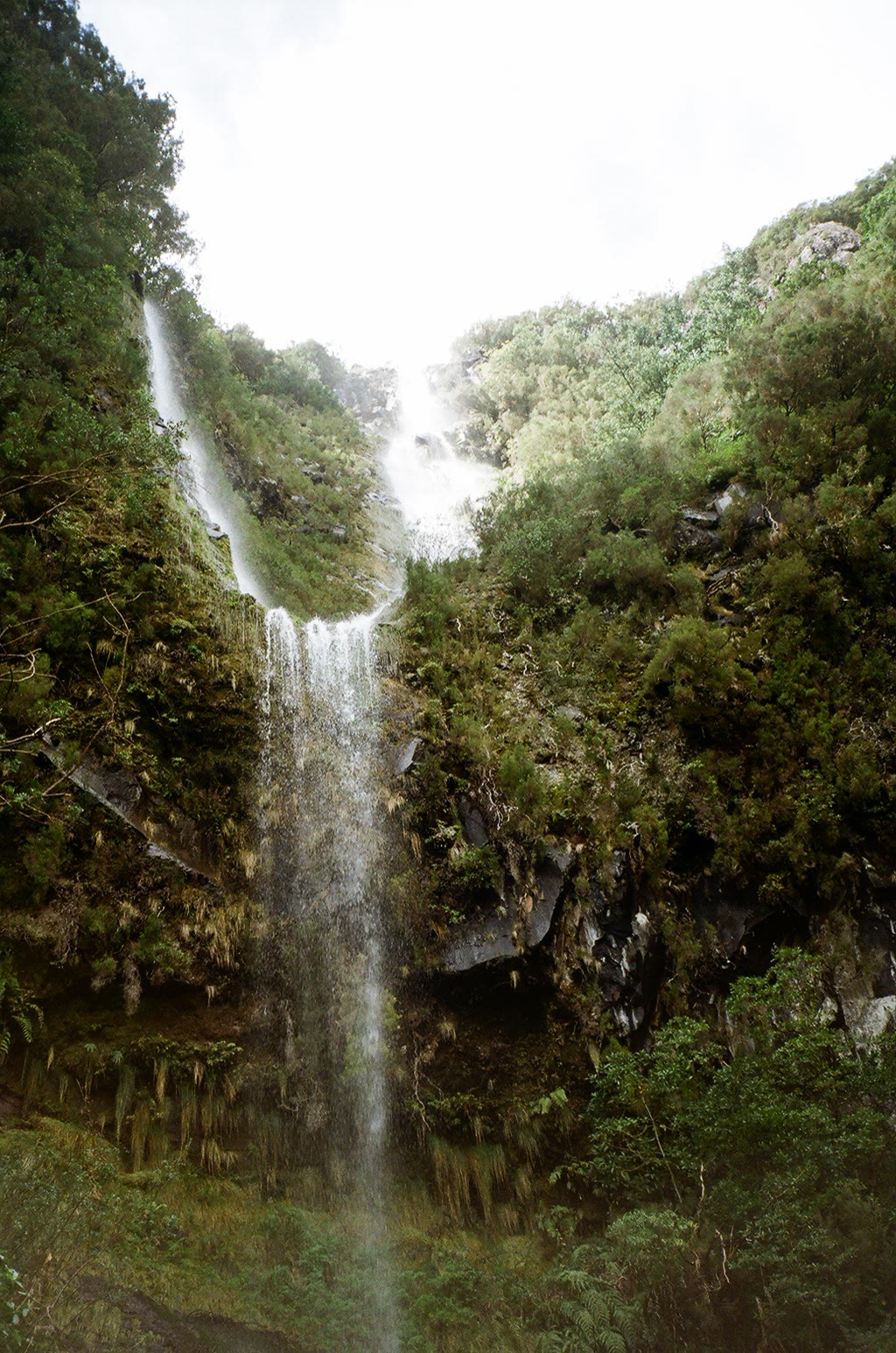 Madeira 10